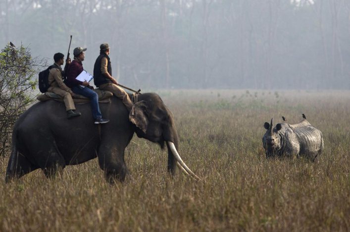 Kaziranga_national_park