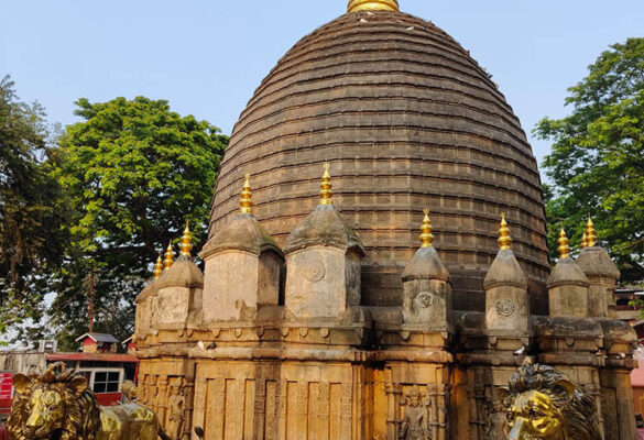 Kamakhya Walks Photo Gallery 18