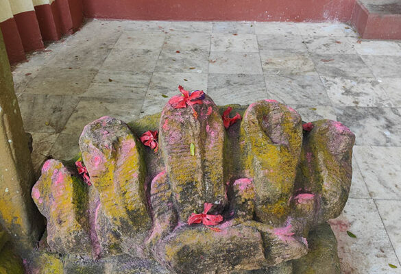 Kamakhya Walks Photo Gallery 7